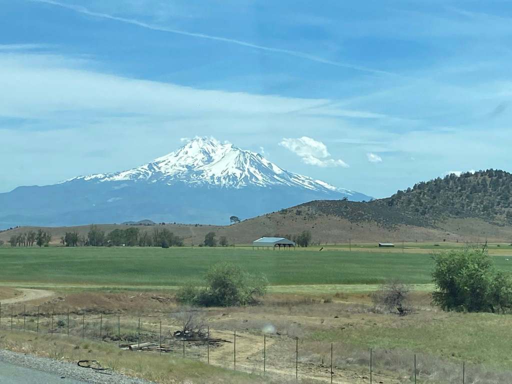 It Hasta Be&nbsp;Shasta